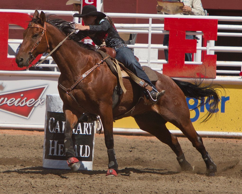 Calgary Stampede-1909.jpg